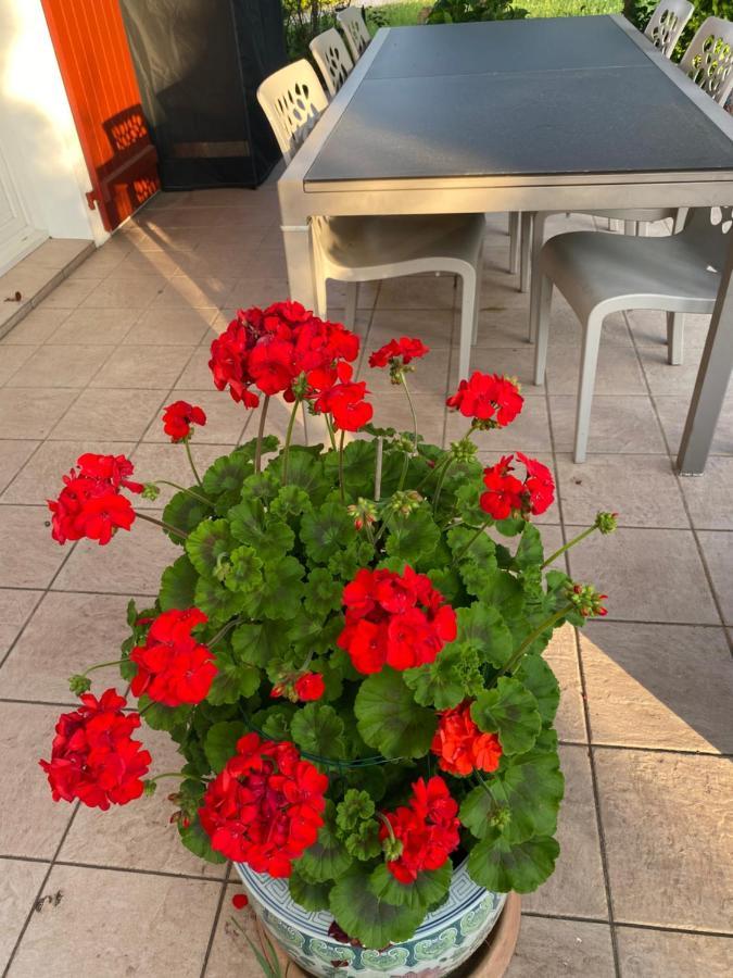 Ilargi Argi Bed & Breakfast Saint-Pée-sur-Nivelle Dış mekan fotoğraf